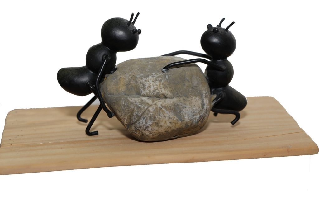 ants, strong, stone-1169349.jpg